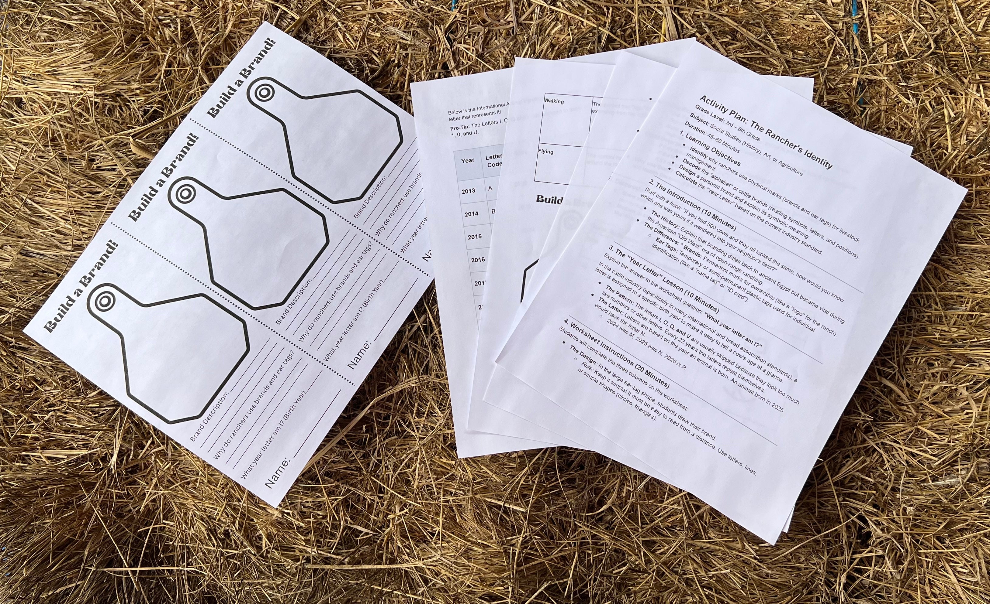 The Rancher's Identity - Build a Brand Activity