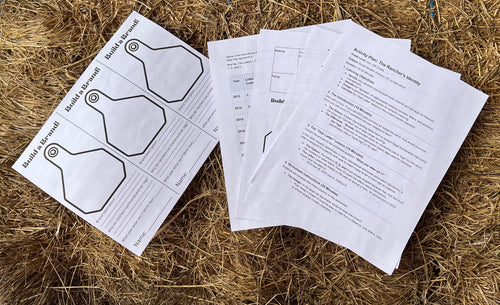 The Rancher's Identity - Build a Brand Activity